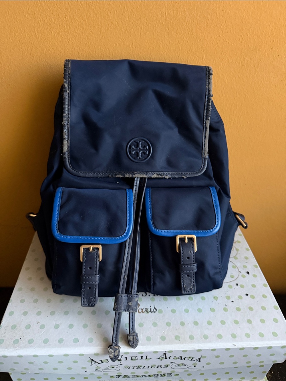 Tory Burch Navy Backpack with Bright Blue Trim